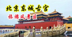 扒开你的大腿舔BB的视频中国北京-东城古宫旅游风景区